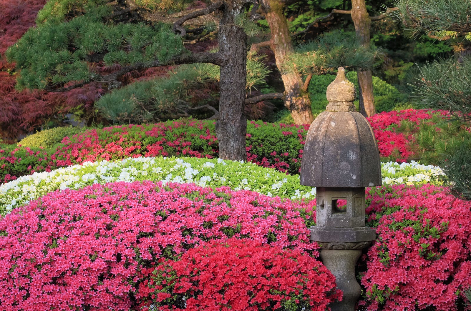 Weekend trip to Portland - Japanese Garden Portland