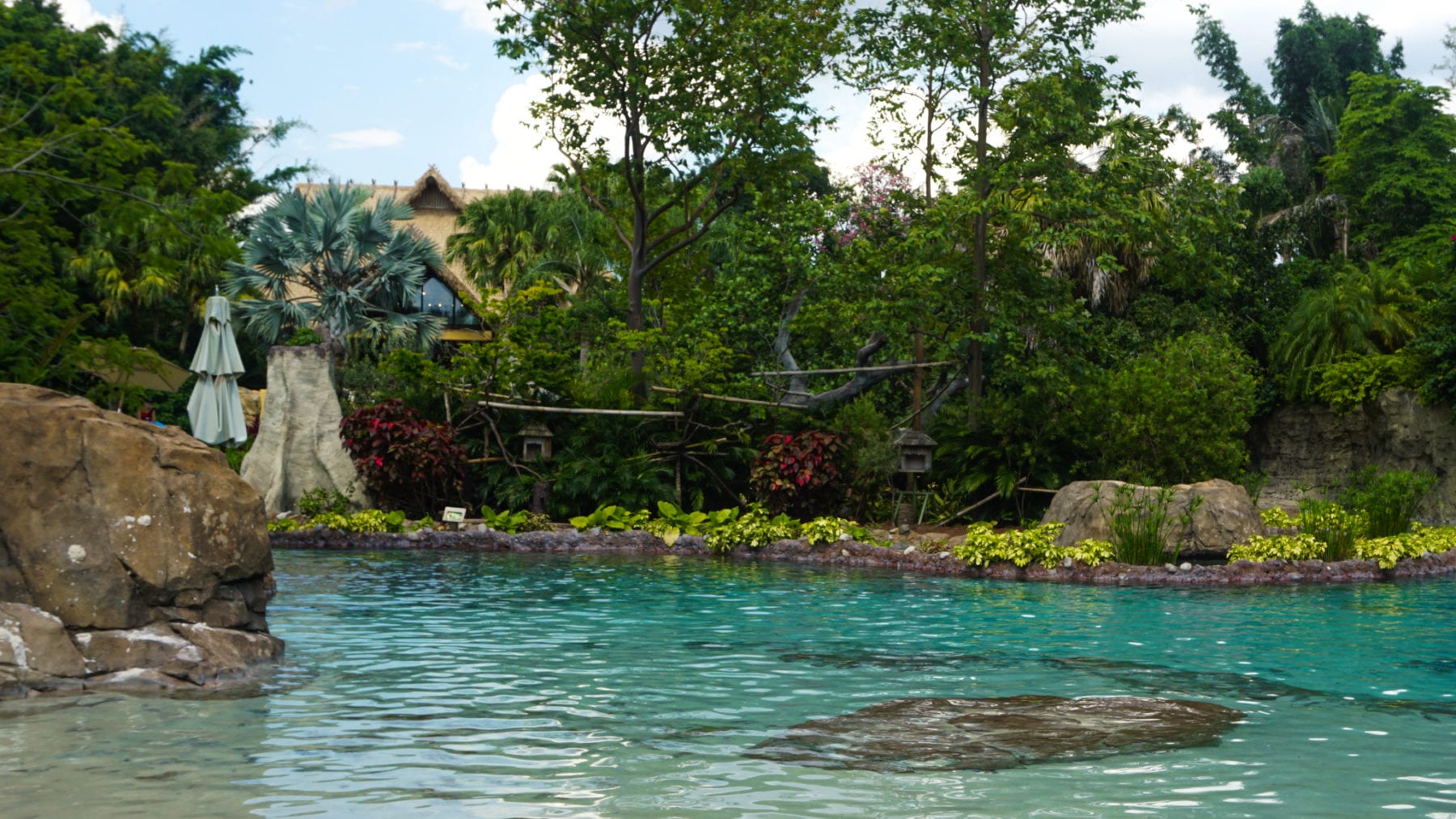 Amusement Parks in the USA - Discovery Cove