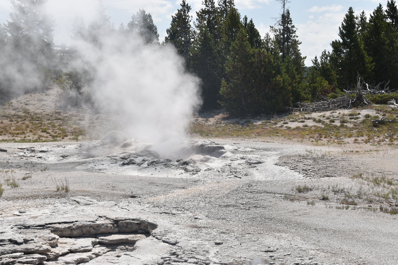 Yellowstone with kids