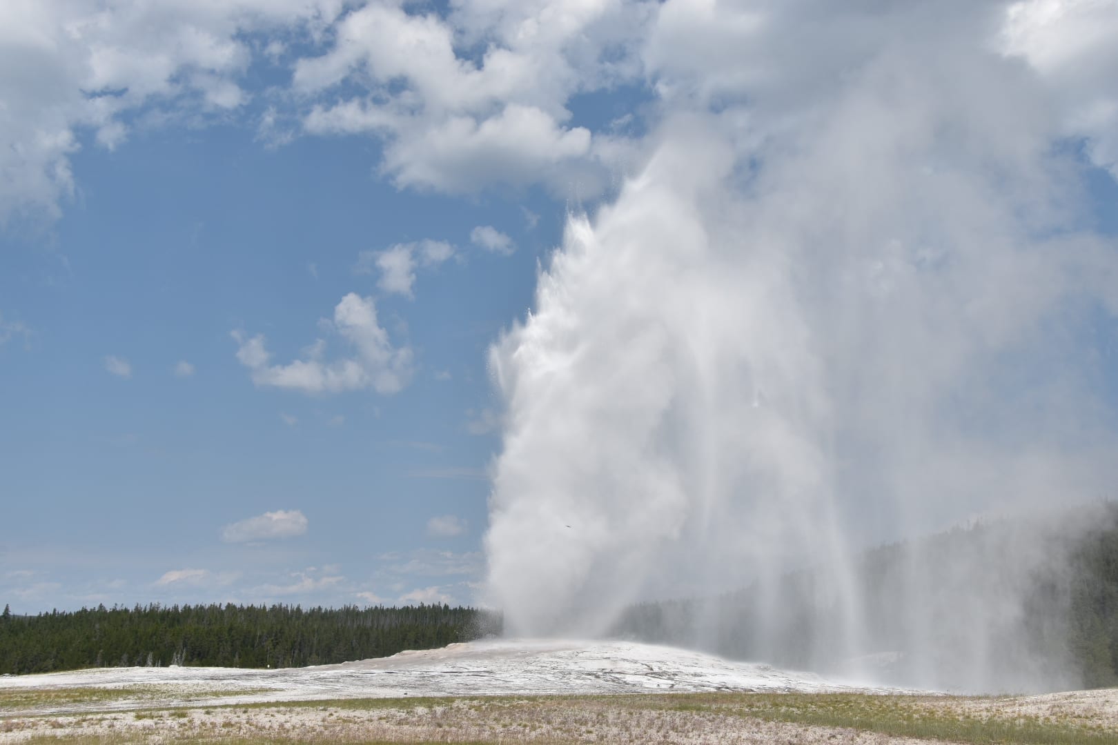 Old Faithful with kids