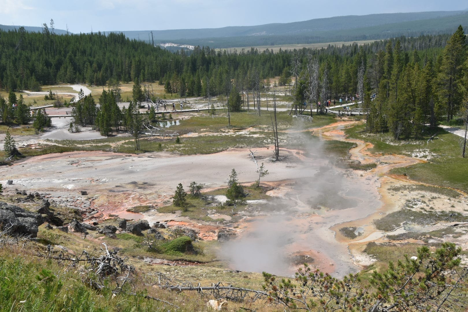 Yellowstone National Park with kids