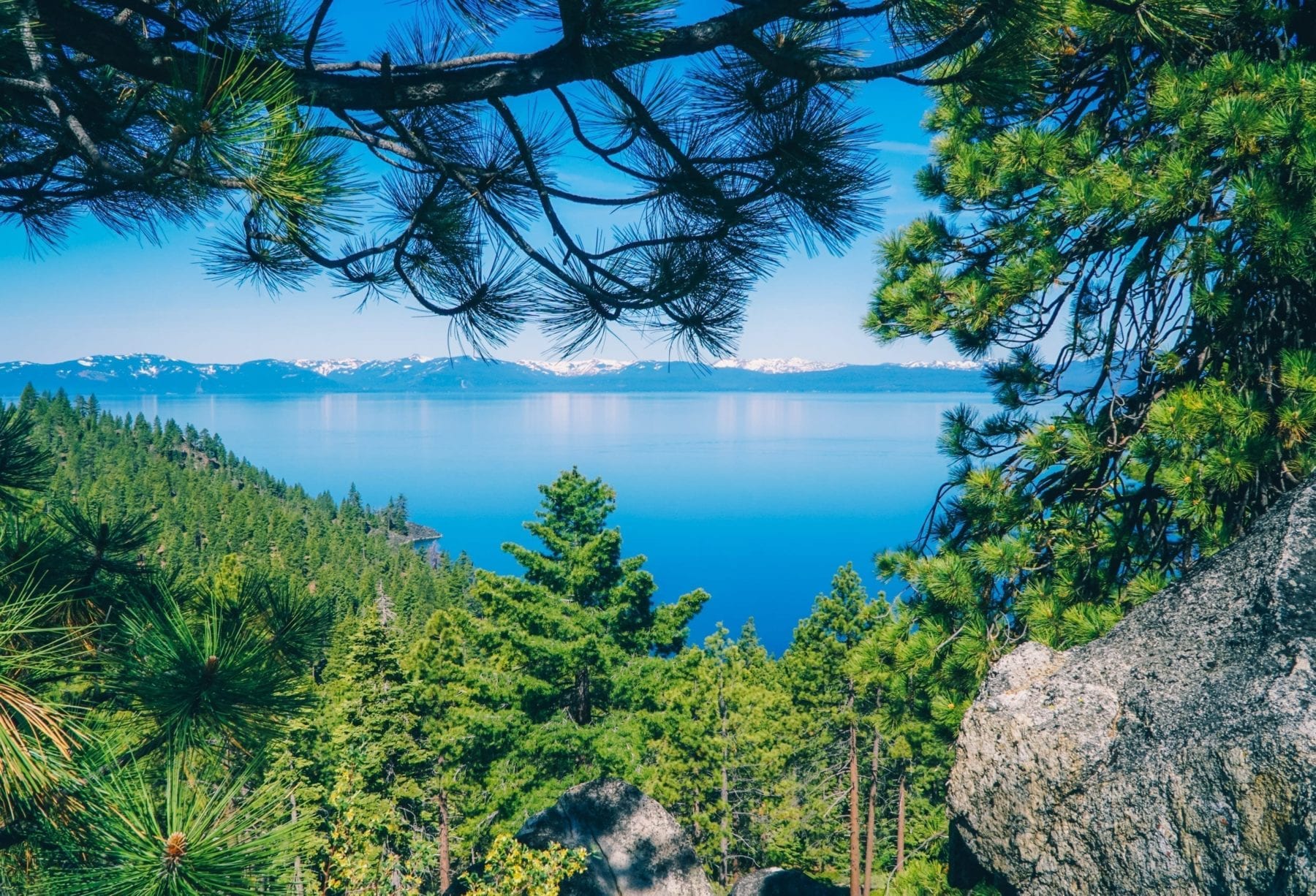 Summer Vacation in Lake Tahoe
