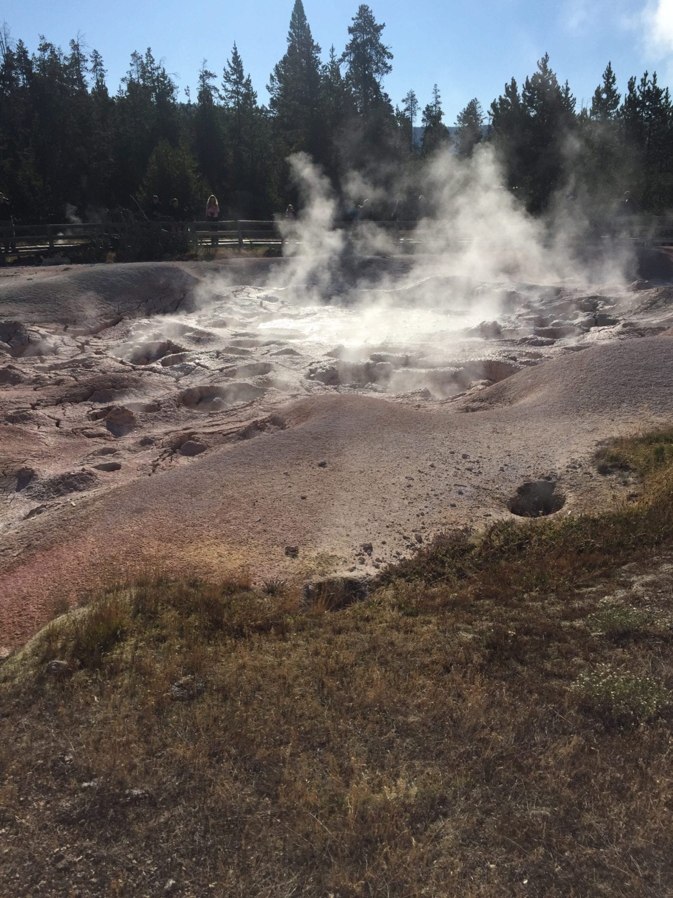 Yellowstone Hiking with kids