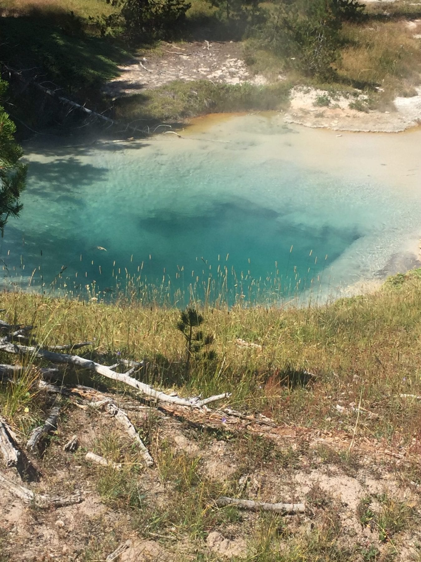 Yellowstone National Park