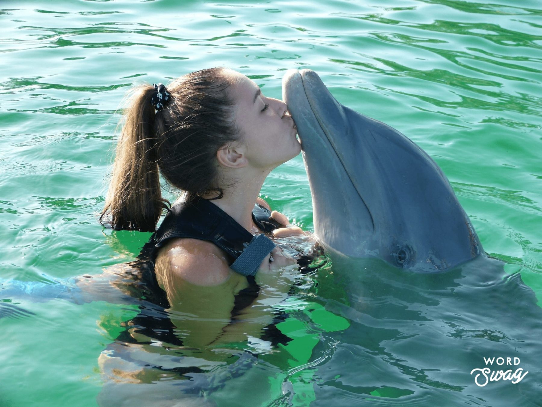 Girl Swimming with Dolphins Things to do in Orlando