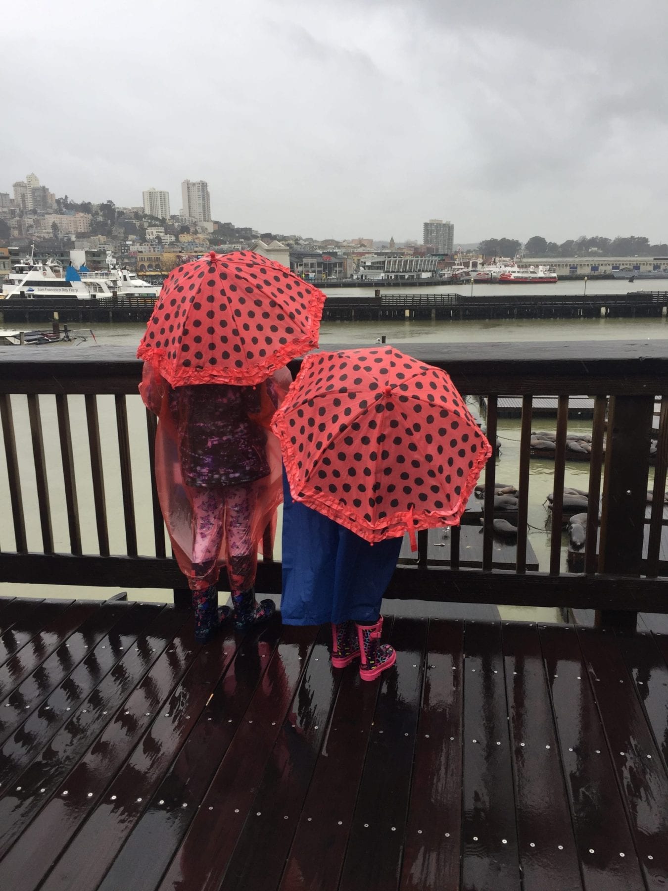 Fun things to do in San Francisco with kids