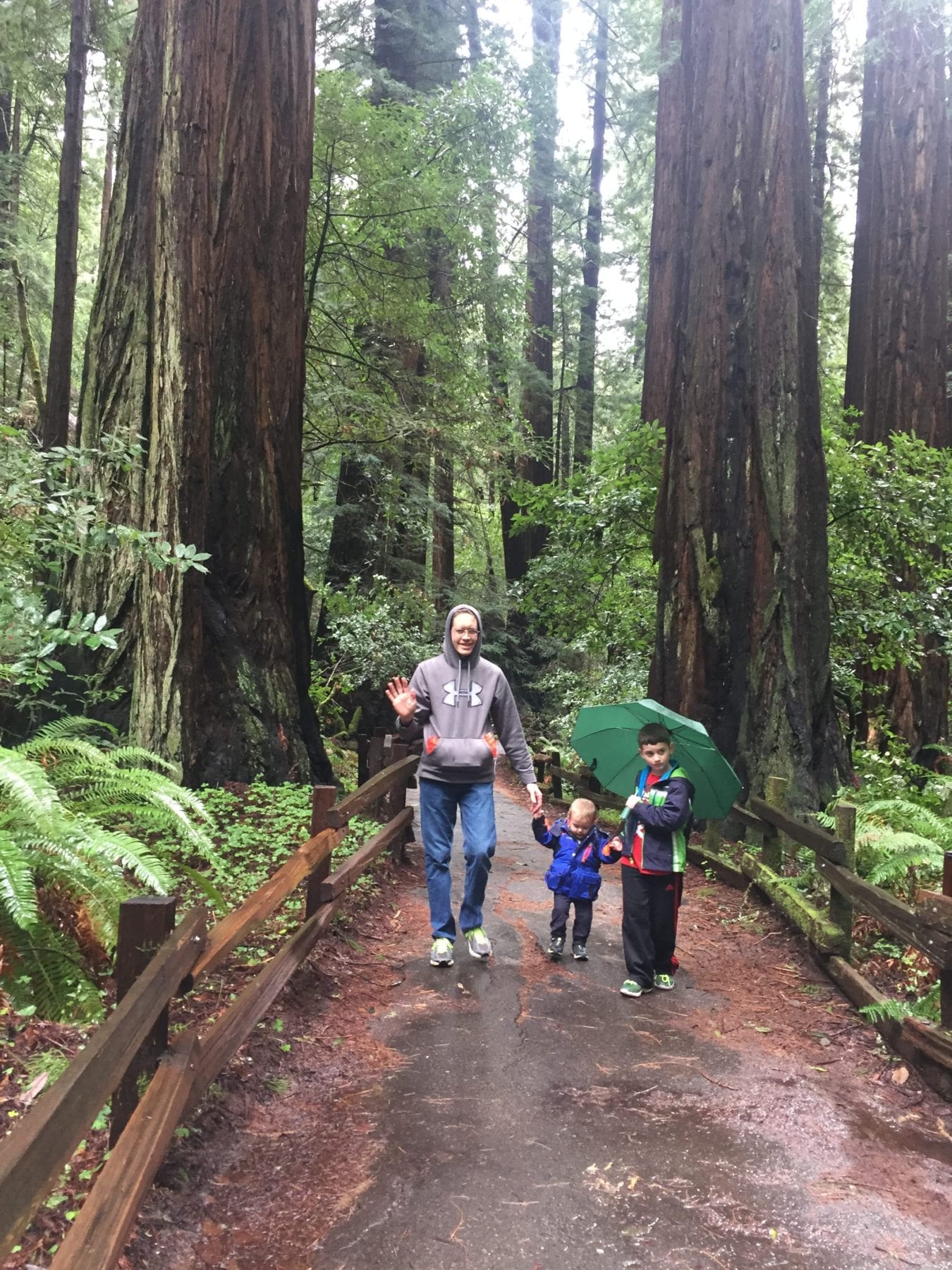 Muir Woods San Francisco with Kids