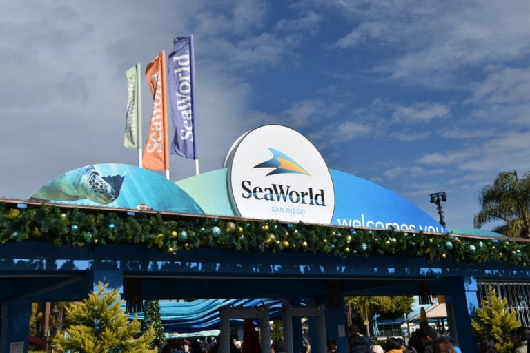 Amazing SeaWorld San Diego Vacation (SeaWorld San Diego Tips)