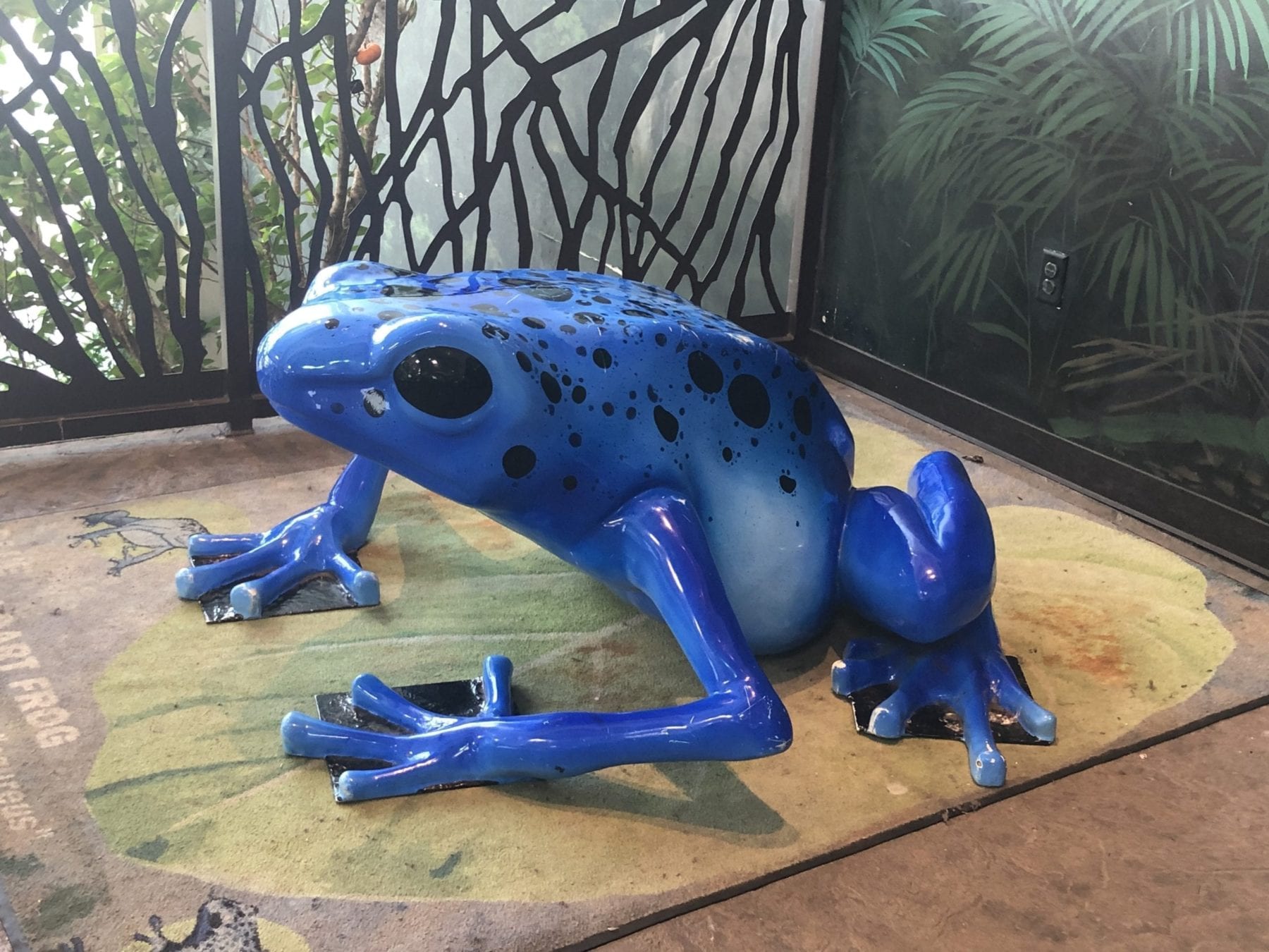 Spotted Frog Aquarium