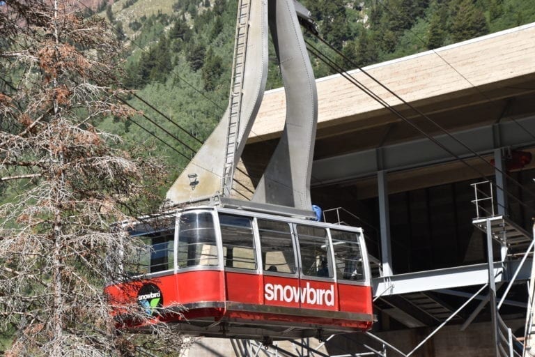 Snowbird In The Summer (The Best 10 Summer Activities At Snowbird Ski Resort)