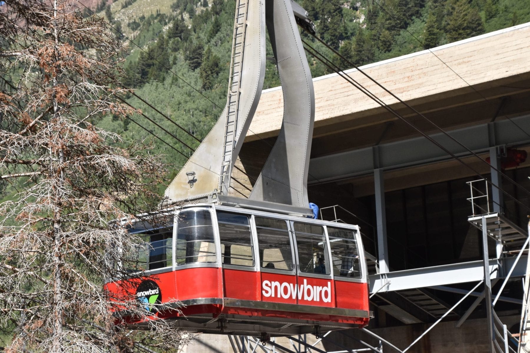 Utah Outdoor Adventure - Summer at Snowbird Ski Resort