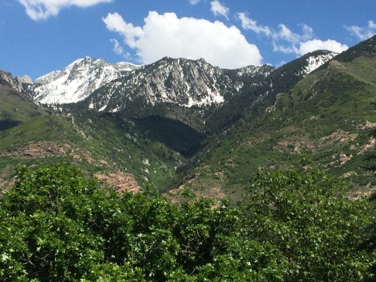 16 Of The Best Kid Friendly Hikes in Utah