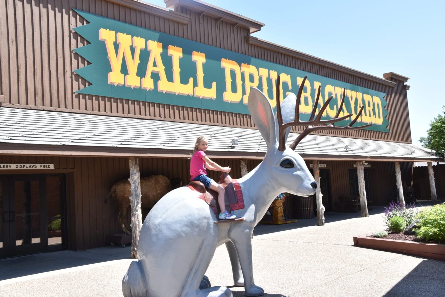 things to do at Wall drug store
