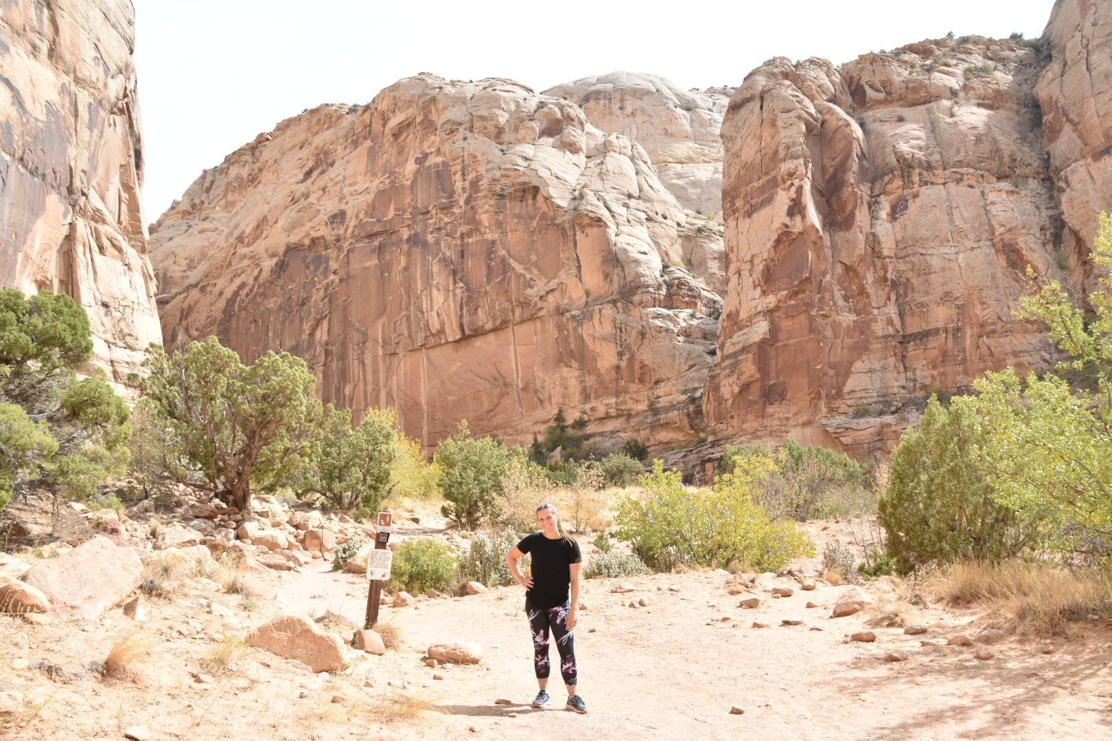 Best Hikes at Capitol Reef National Park
