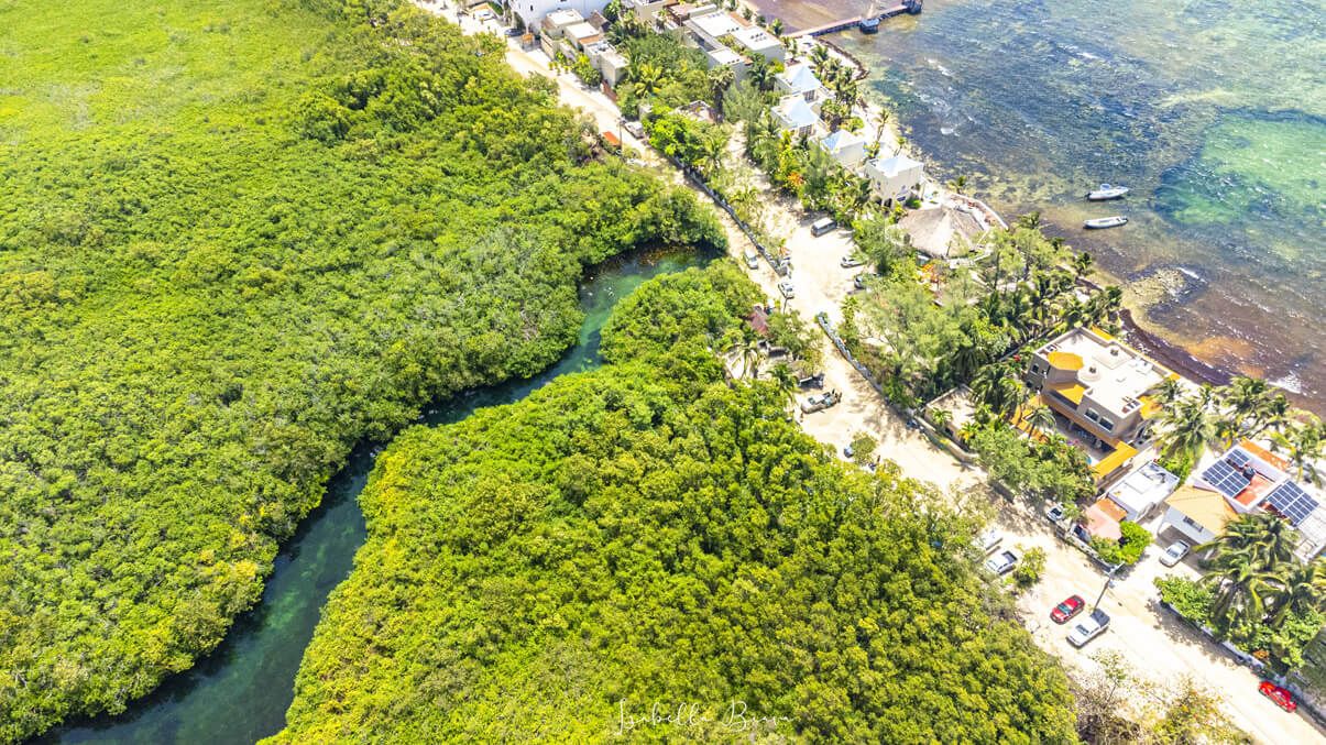 Cancun Daytrips - Casa Cenote