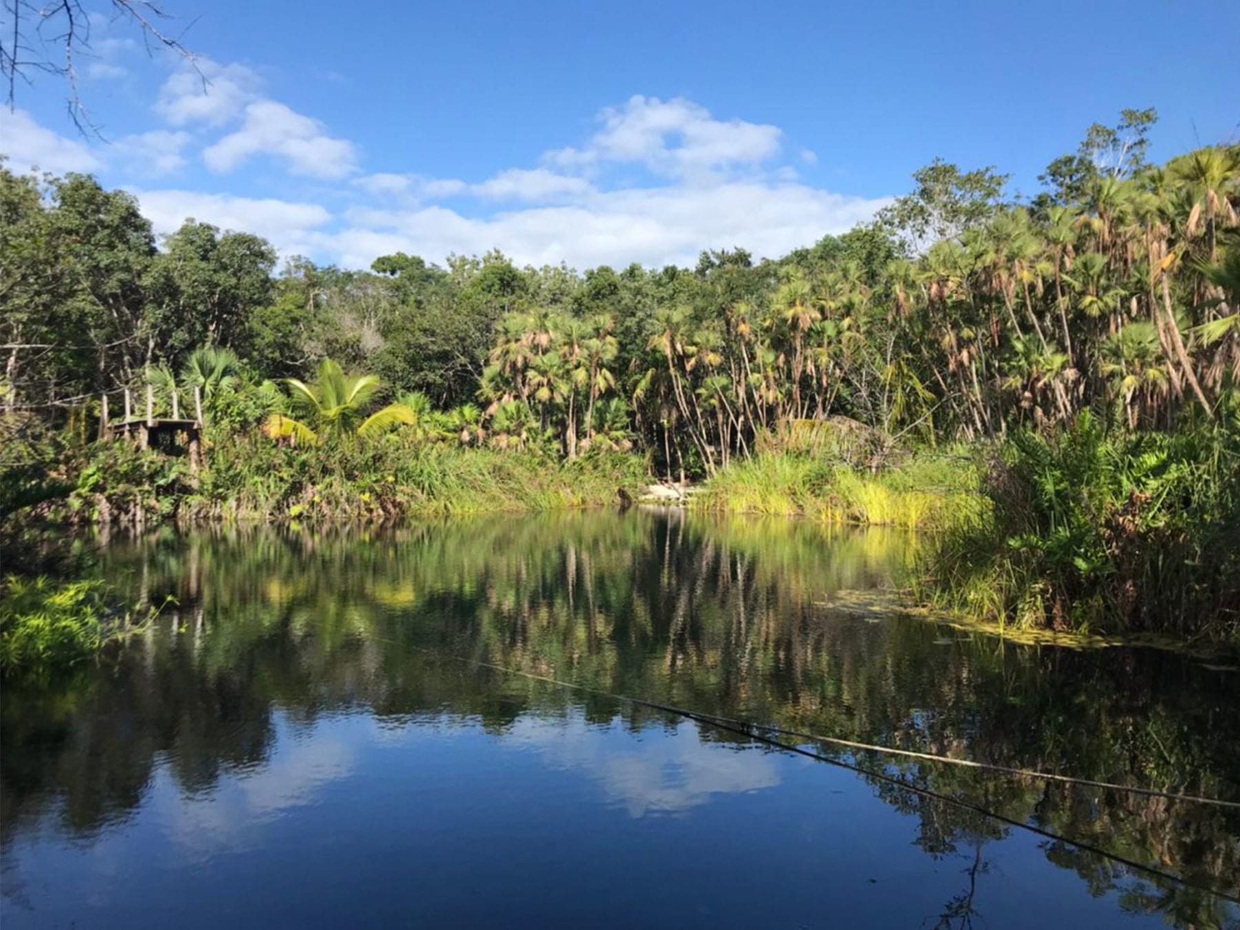 Day Trip From Cancun to Cenote Crystal