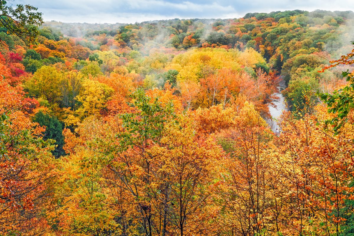 Best fall vacations in the Midwest