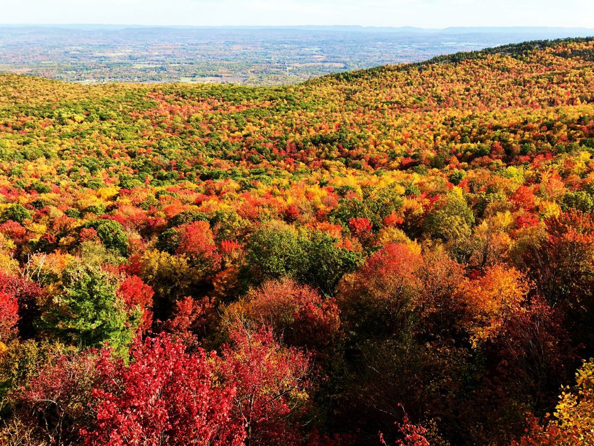 Hudson Valley Fall Foliage