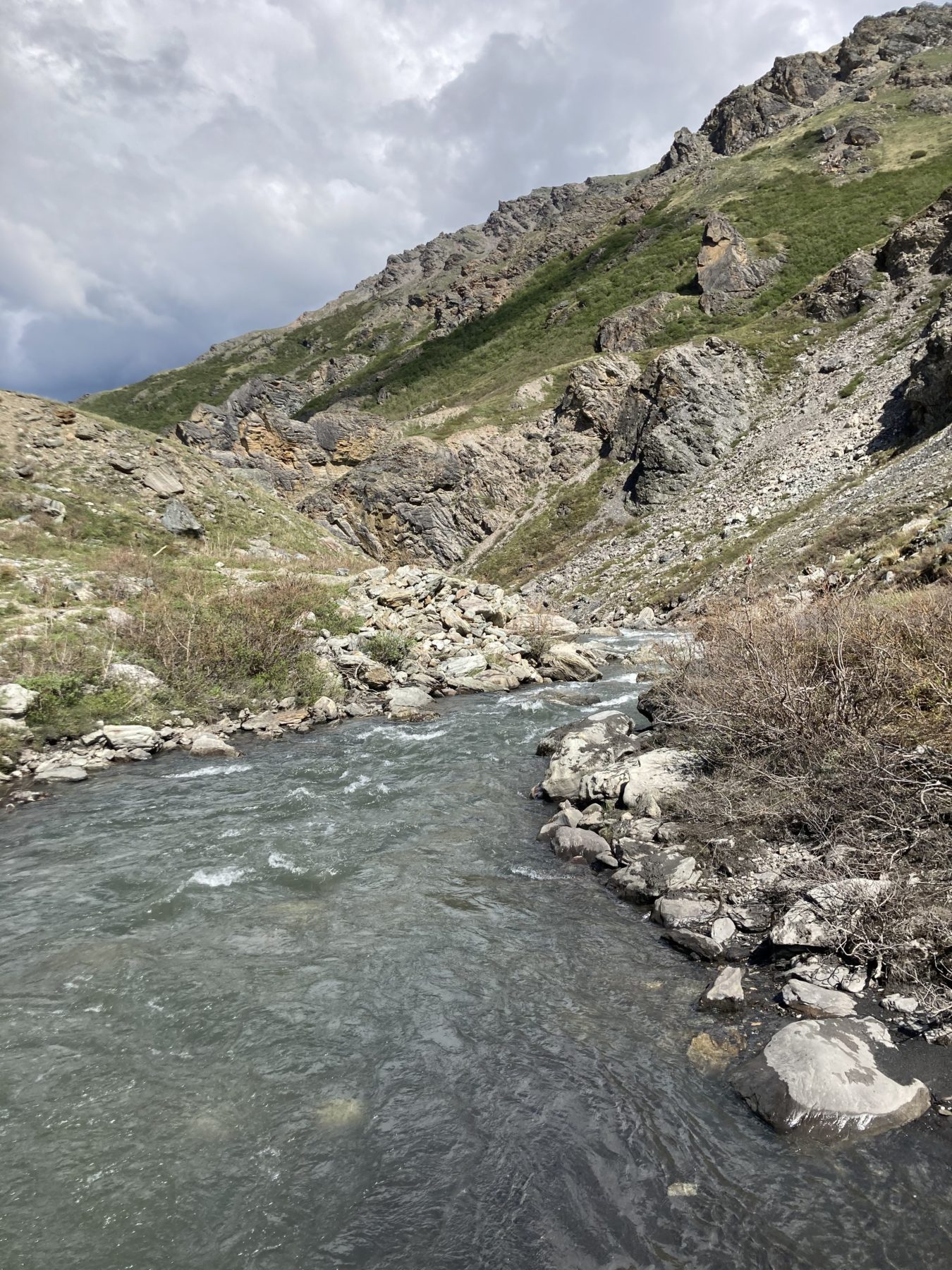 Tours at Denali National Park