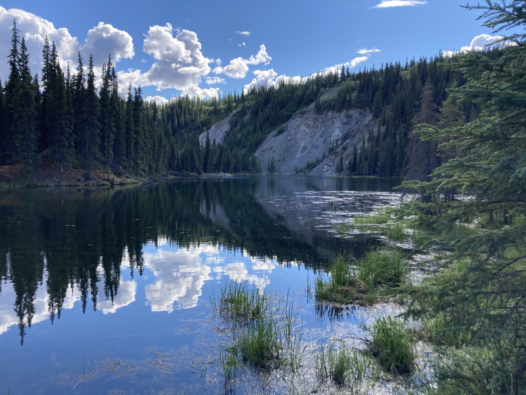 Day trips near Fairbanks