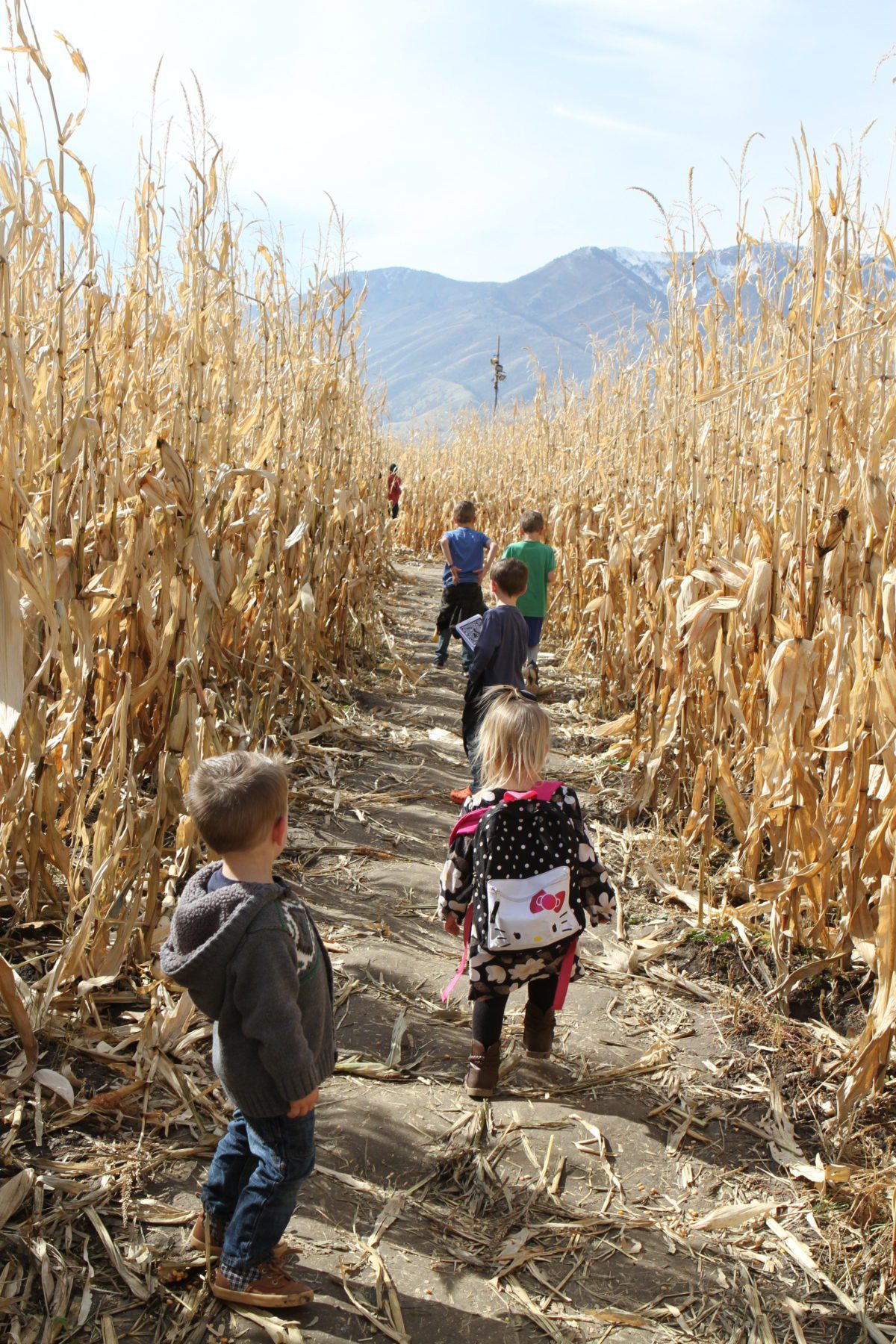 Utah in Fall - Corn Maze