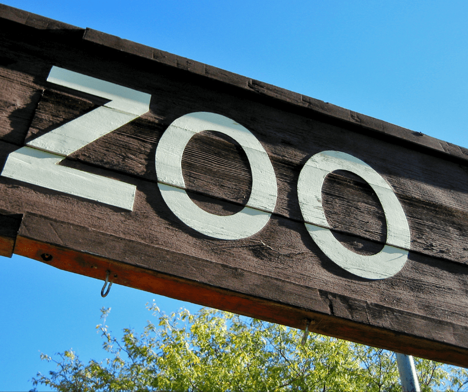Boo at the Zoo in Utah