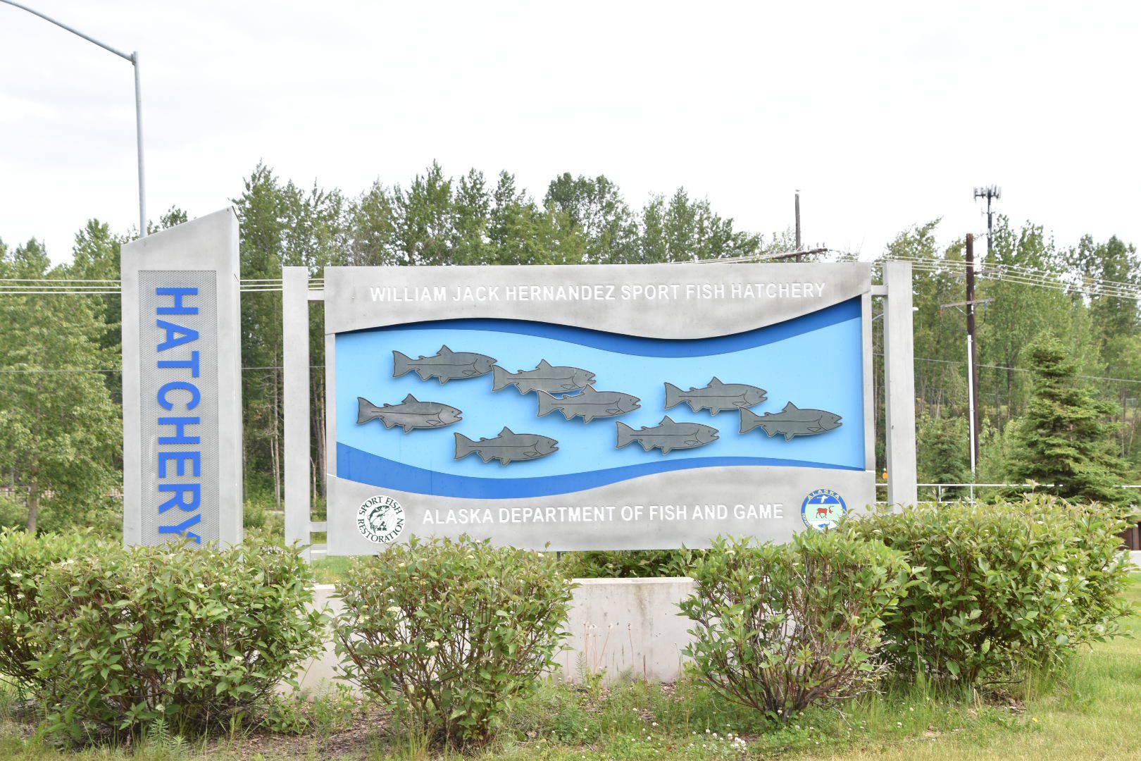 Fishery in Anchorage