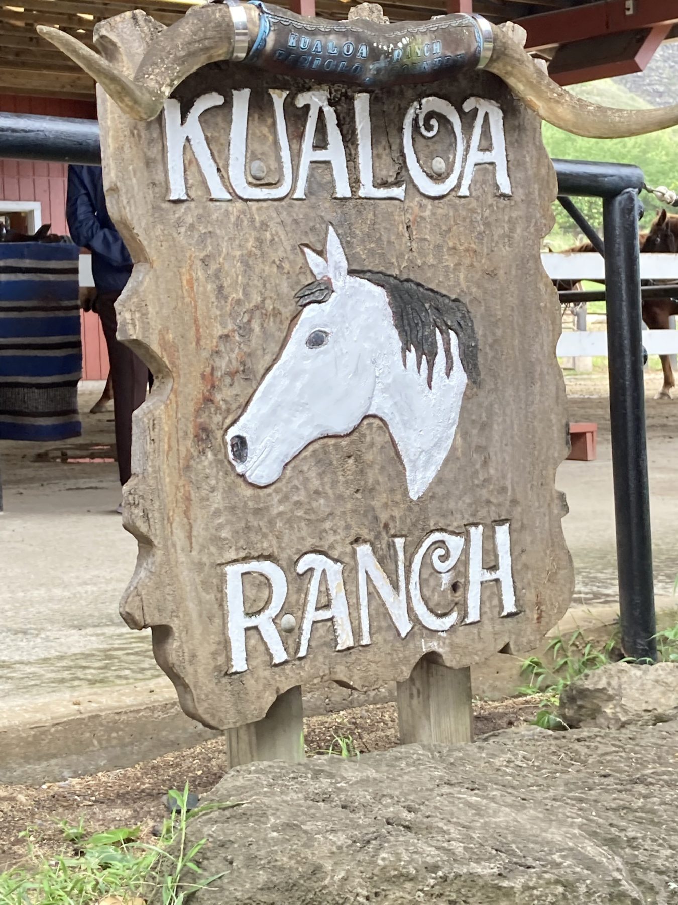 Jurassic Park Kualoa Ranch