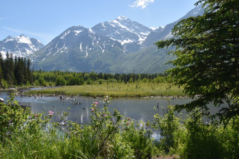 20 Fun Things To Do In Anchorage With Kids – Alaska Adventure