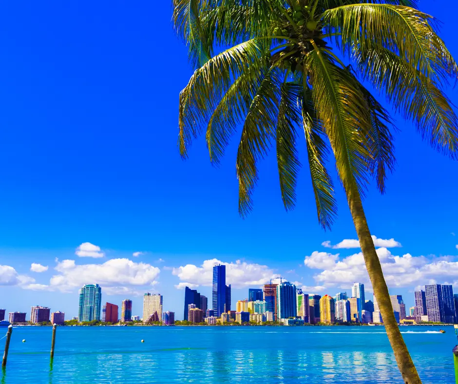 One day in Miami Itinerary One day in Miami Itinerary