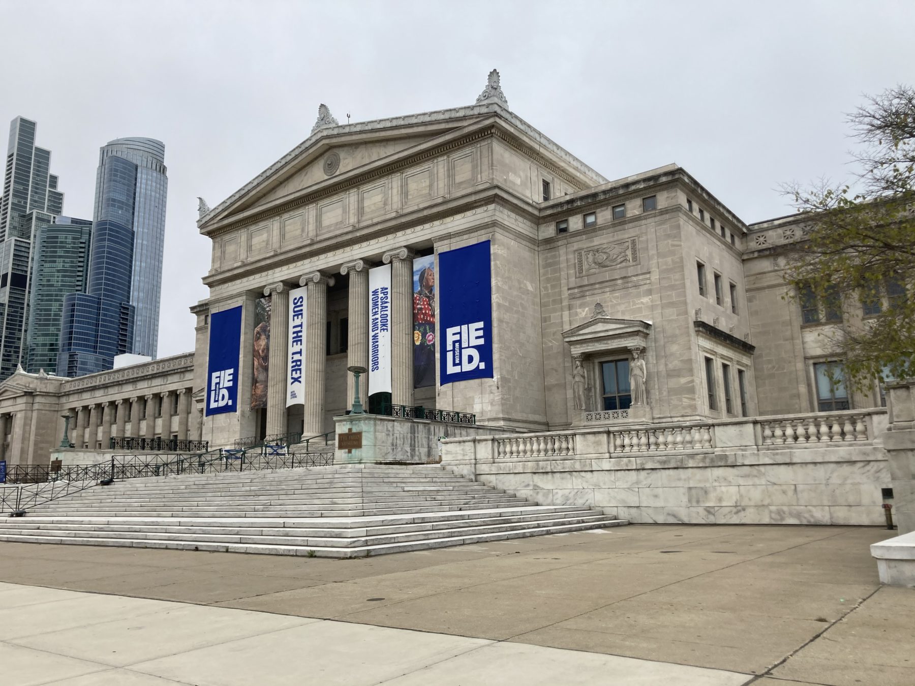 Museums in Chicago