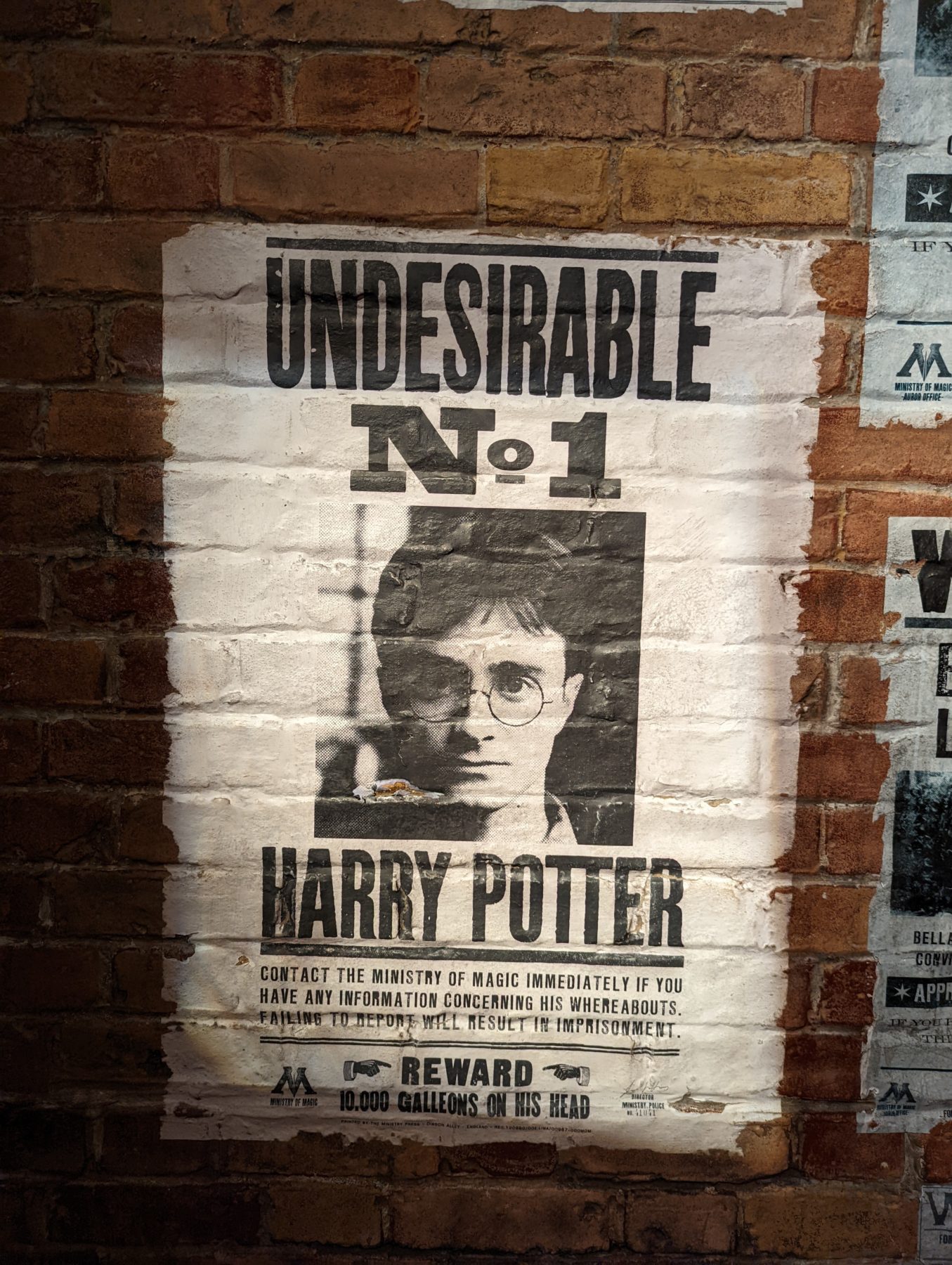 Harry Potter NYC
