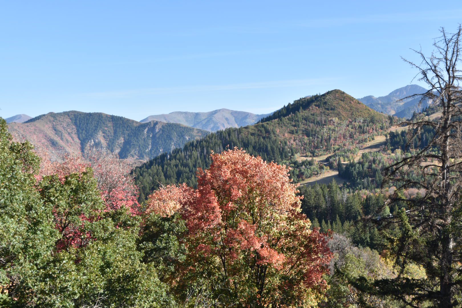 Utah fall colors