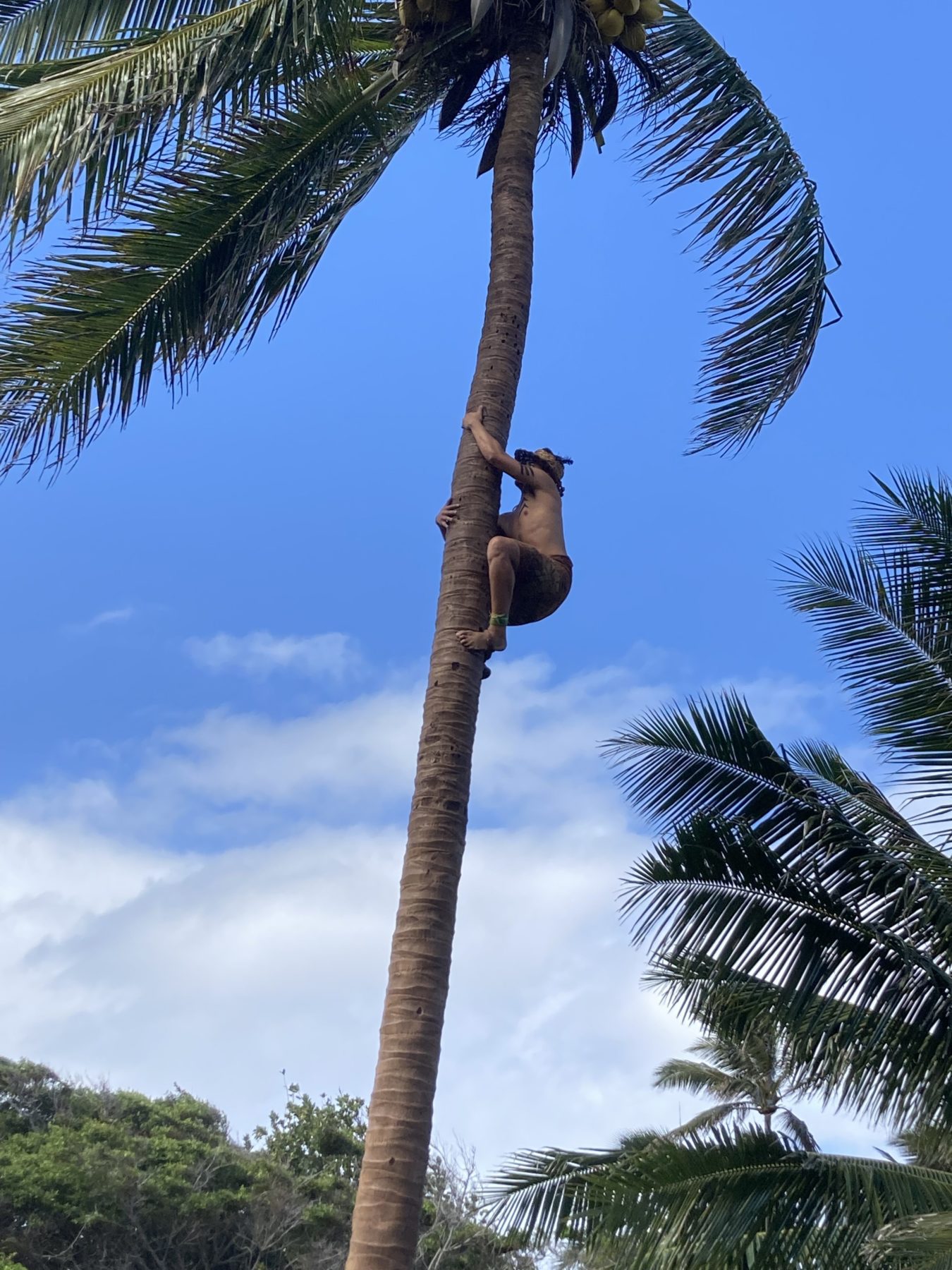 Polynesian Cultural Center tickets - man climbing a tree