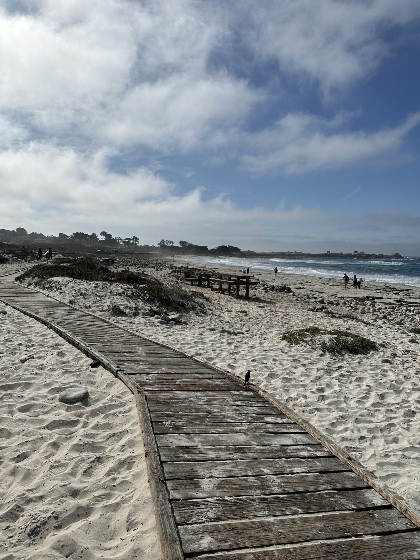 Spanish Bay Beach 17 mile drive stops