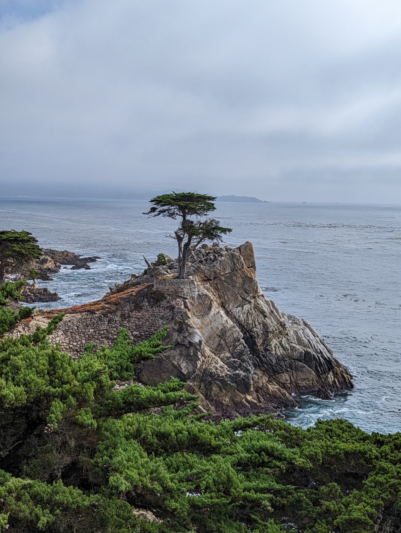 17 mile drive itinerary - the Lone Cypress