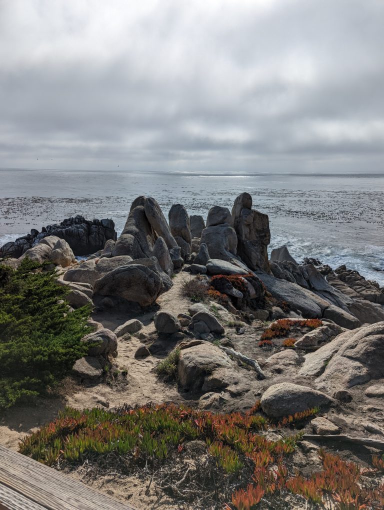 The Best 17-Mile Drive Stops (Monterey to Carmel)