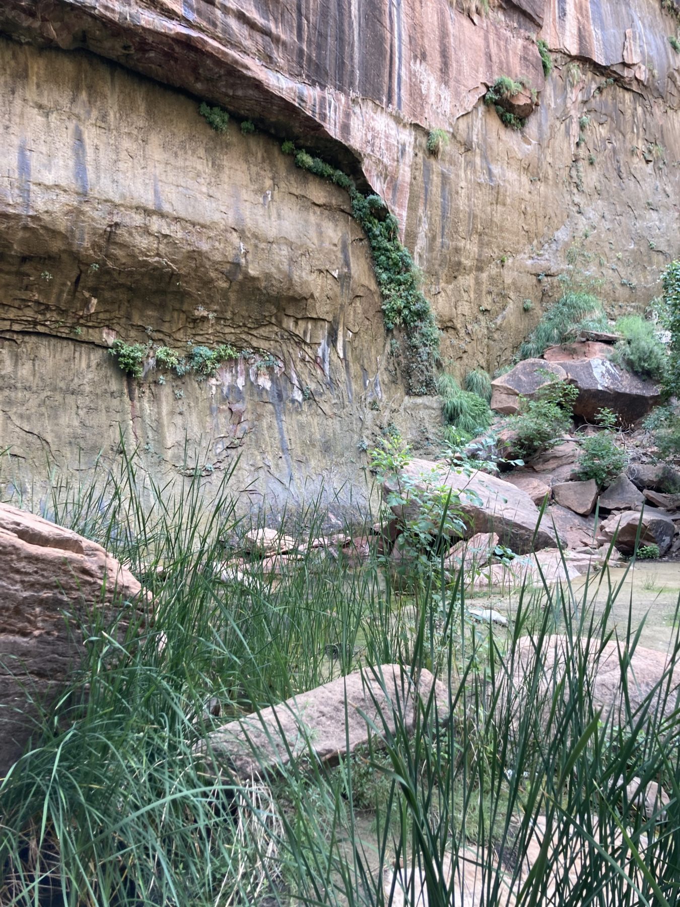 Hiking in Zion - Emerald Pools