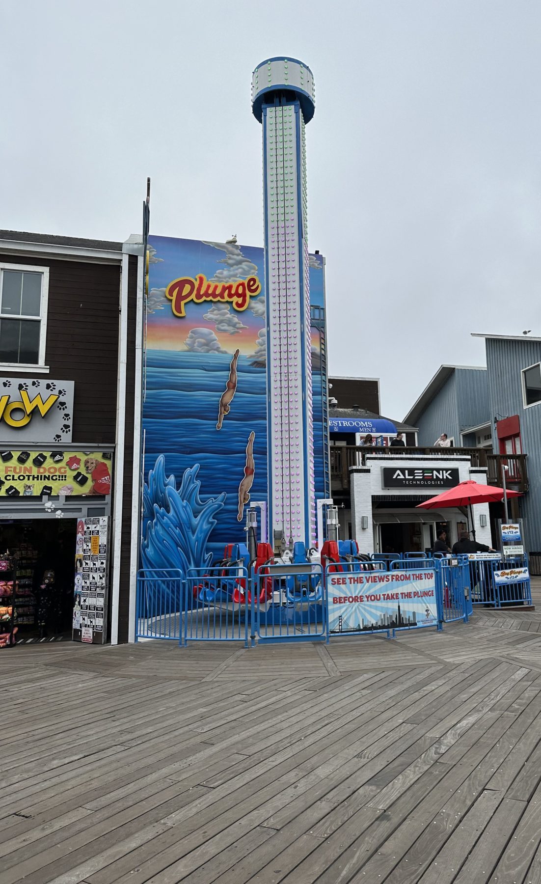 Fun Things To Do On Pier 39 (Best Pier 39 Attractions!) – Planning