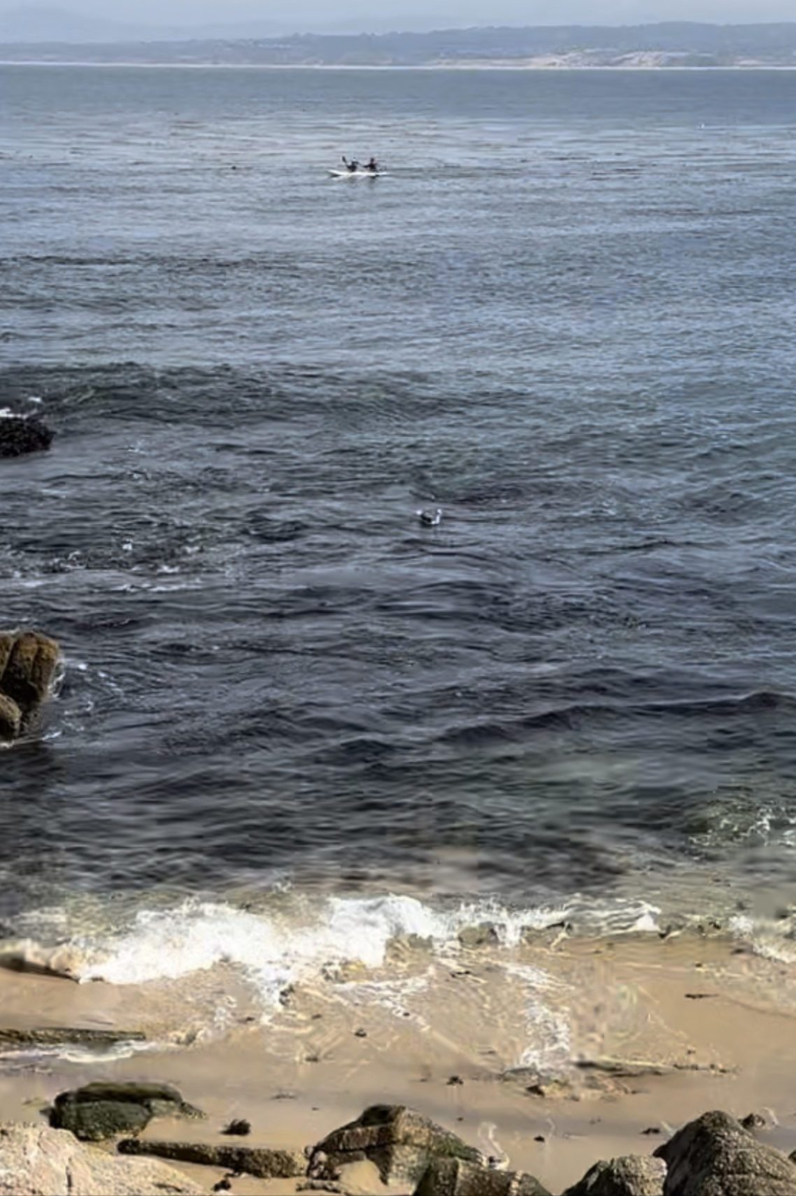Things to do in Monterey California Kayaking Monterey Bay