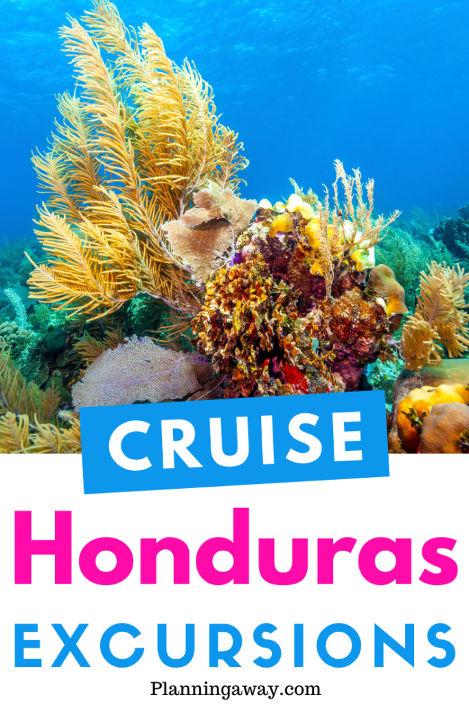 Best Hondruas Cruise Excursions Pin for Pinterest 