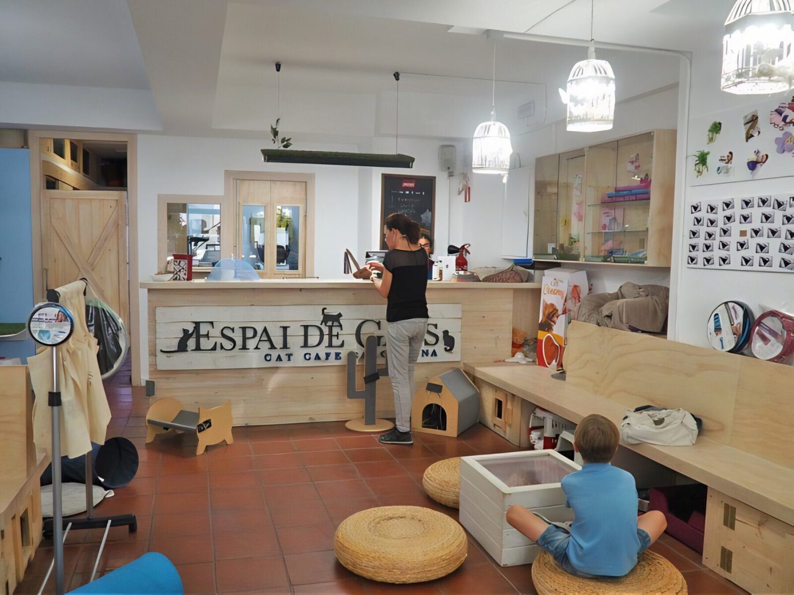 Family holidays in Spain- Barcelona Cat cafe